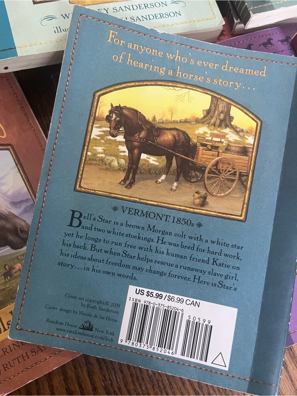 Horse Classic Multicolor Horse Diaries Decorative Book Set - Whitney Sanderson